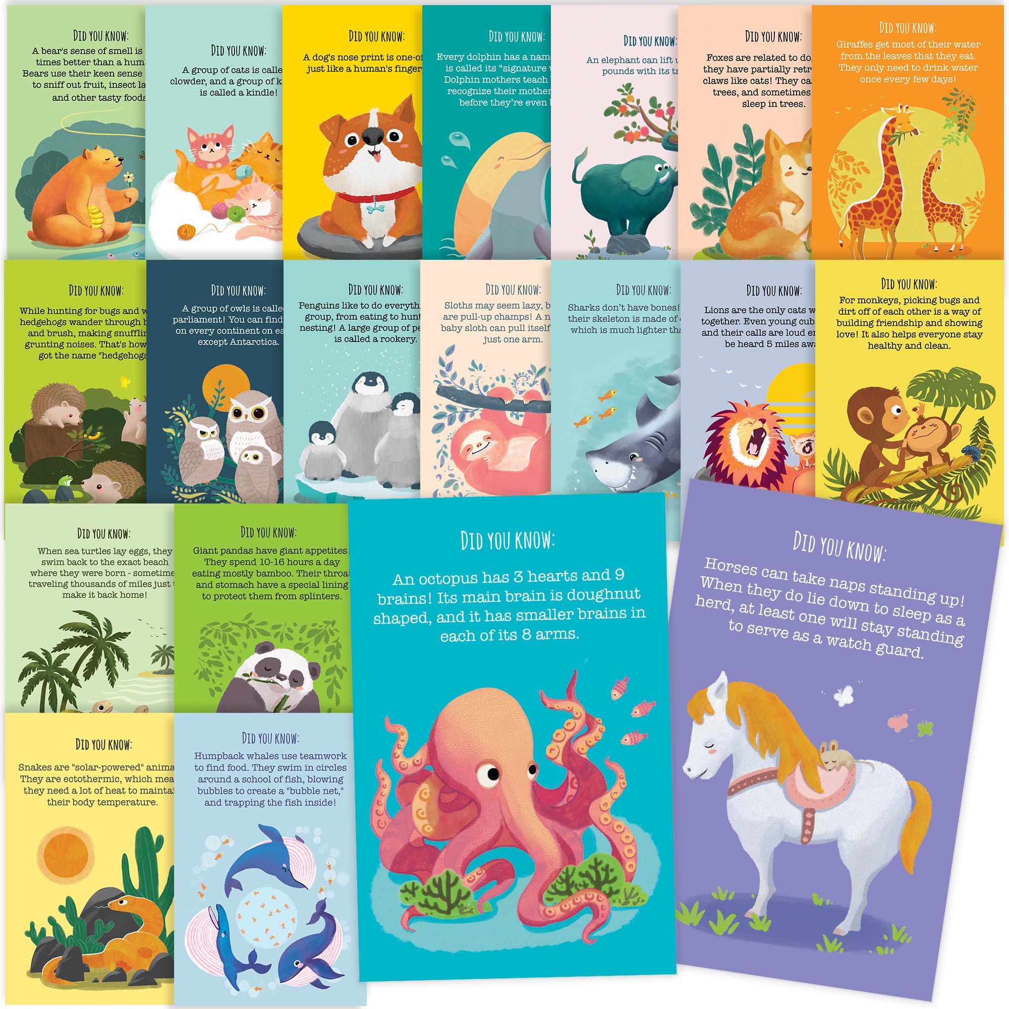 T MARIE 40 Animal Fun Fact Postcards - Bulk Thinking of You Postcard Pack for Kids, Students, Friends, Teacher, and More - Say Hello, Thank You or I Miss You with Colorful Note Cards