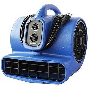 XPOWER X-430TF 1/3 HP Cool Air Mover, Carpet Dryer, Floor Fan, Utility Blower - with 3-Hour Timer and Filter Kit- Blue