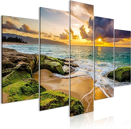 cuadros del mar amazon