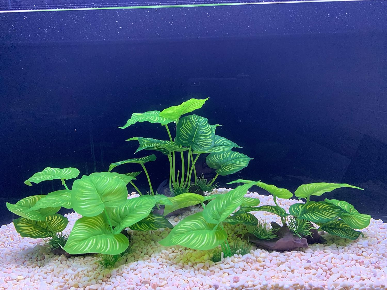 Aquarium Fish Tank Green 5 Pcs Lifelike Underwater Plastic