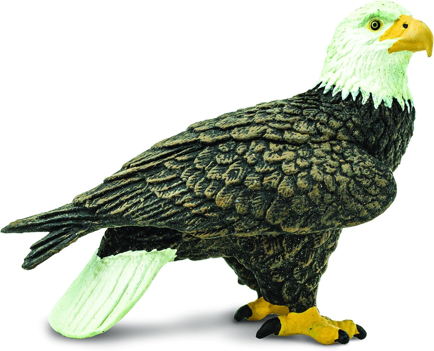 Amazon サファリ レプリカ ハクトウワシ 生物 動物 人体 ホビー