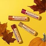 Burts Bees Lip Balm Gift Set Chai Tea Pumpkin Vanilla Maple Pomegranate 4x4.25g view 4