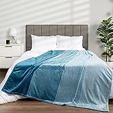 Pavilia Blue Ombre Fleece Blanket for Twin Size Bed, Soft & Cozy Microfiber Gift Decorative Blanket, 60x80