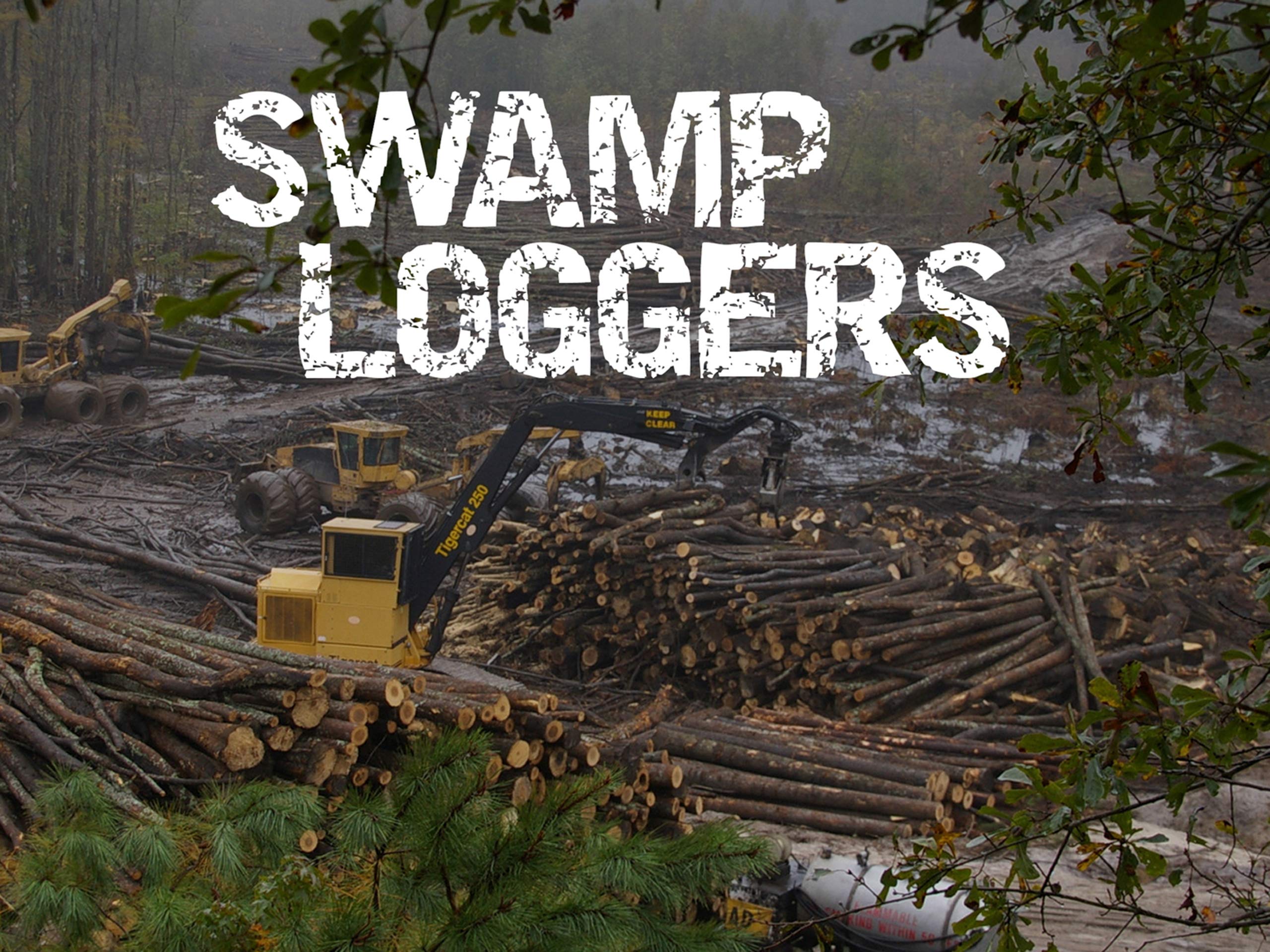 Watch Swamp Loggers Season 1 Prime Video