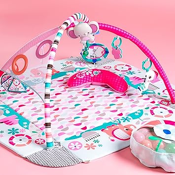 bright starts 5 in 1 activity gym