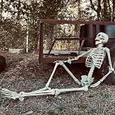 DUNCHATY Halloween Skeleton Decoration – 6FT Posable Life-Size Skeleton with Hanging Loop – Weatherproof Halloween Prop for Indoor & Outdoor Use