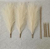 Woltoy Pampas Grass 5 Pcs Dried Look Artificial Stems 96cm Beige Boho view 3