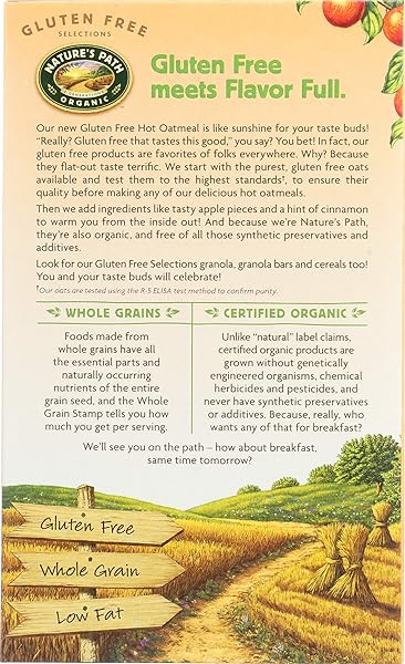 NATURE’S PATH ORGANIC SPICED APPLE + FLAX INSTANT OATMEAL, 11.3 OZ (PACK OF 6), GLUTEN FREE, NON-GMO