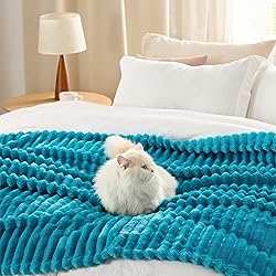 Bedsure Teal Full Blanket for Bed - GentleSoft Cozy