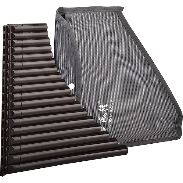 Amazon.com: You Can Teach Yourself Pan Flute: 9780786693368