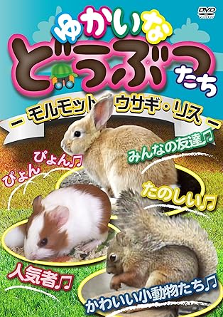 Amazon Co Jp ゆかいなどうぶつたち モルモット ウサギ リス Dvd Dvd ブルーレイ