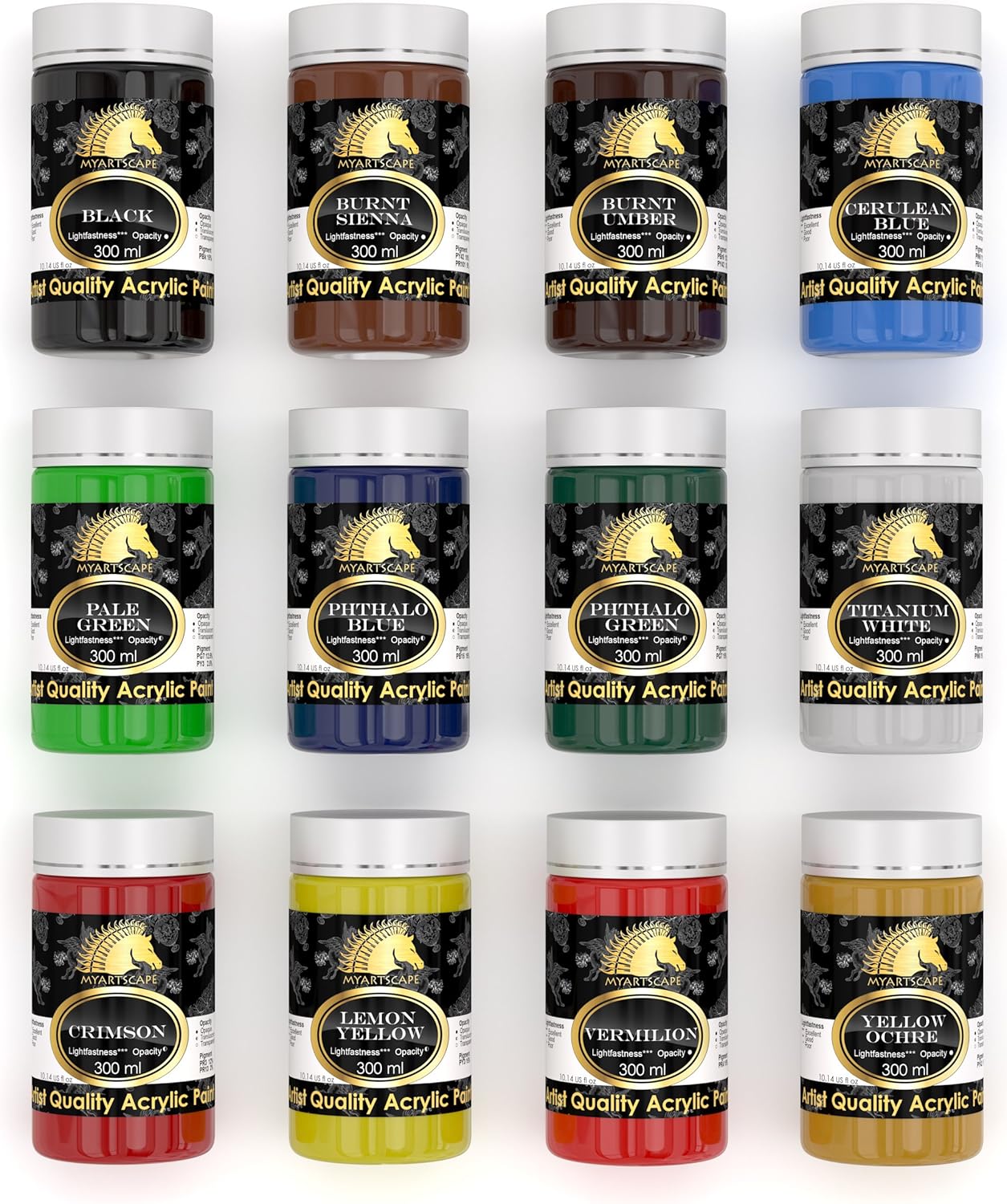 Acrylic Paint Set - 12 x 300ml Bottles - Heavy Body - Lightfast - Artist Quality Paints by MyArtscape