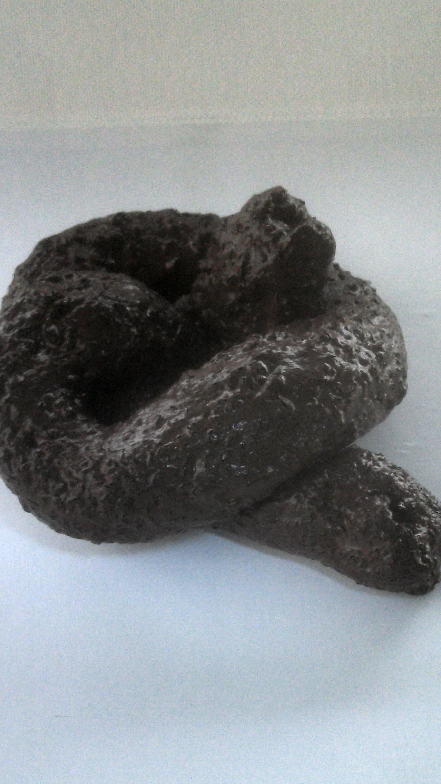 Premium Fake Dog Poop, Classic Gag, Practical Joke