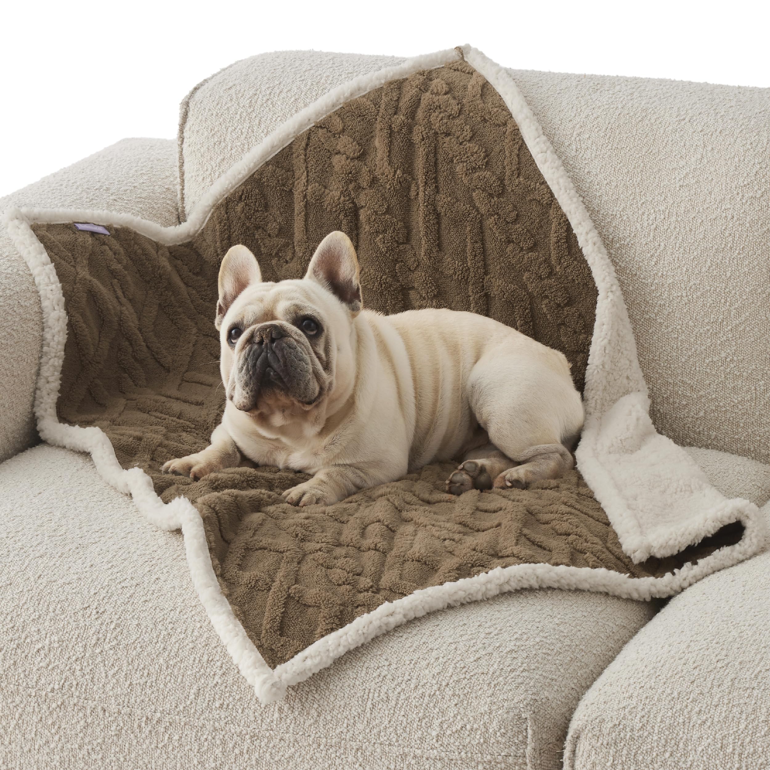Photo 1 of Bedsure Waterproof Dog Blankets for Medium Dogs - Pet Blanket for Couch Protector Washable, Premium Jacquard Coral Fleece Cat Throw Blanket, Soft Plush Reversible Furniture Protection,30"x40", Taupe