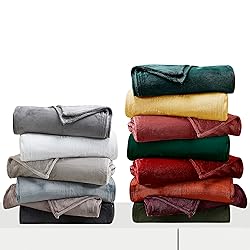 Thesis Fleece Blanket Queen Blanket for Bed Ivory