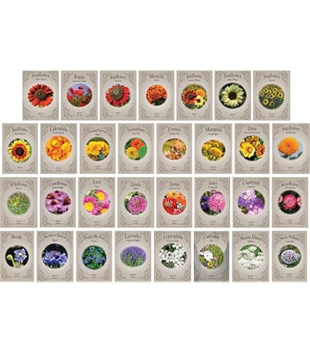 Amazon.com : Flower Seed Set - Flower Varieties of Non-GMO & Heirloom  Premium Seeds for Planting - Sunflower, Marigold, Lavender, and More! (20,  Set 1) : Patio, Lawn & Garden