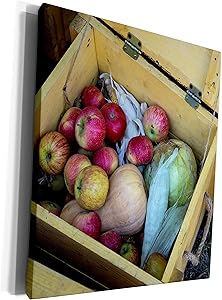 3dRose Alexis Photography - Food Fruits and Vegetables - Wooden box filled with red apples, corn, pumpkin and cabbage - Museum Grade Canvas Wrap (cw_304528_1)