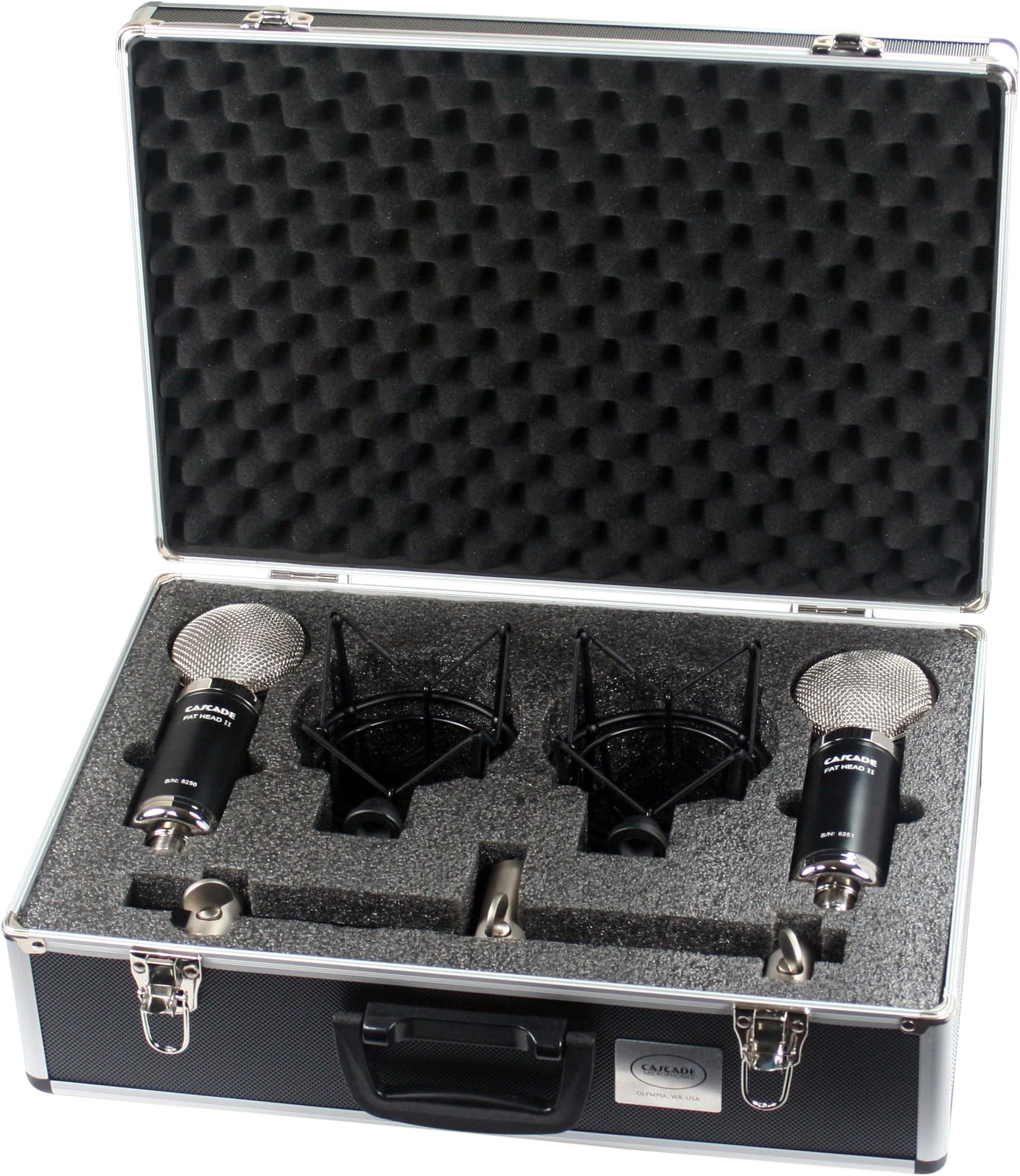 Cascade Microphones 990-BL-A Ribbon Microphone