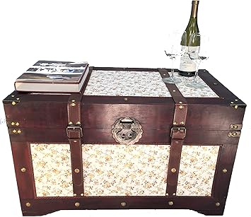 Amazon Com Styled Shopping Savannah Chest Canvas Wooden Steamer