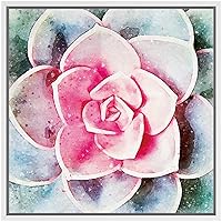 SIGNWIN Framed Canvas Wall Art Pink and Green Echeveria White Rose Succulent Botanical Plants Watercolor Modern Art Chic Closeup Relax/Calm for Living Room, Bedroom, Office - 16x16 inches