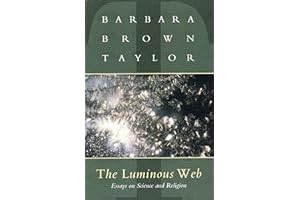 The Luminous Web: Essays on Science and Religion