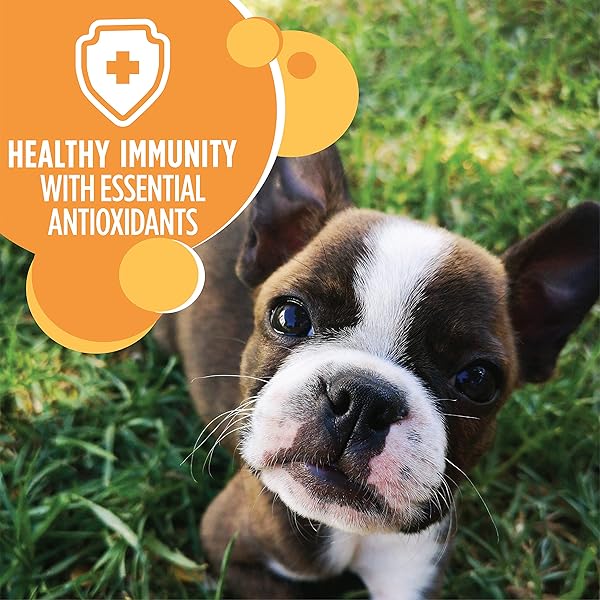 IAMS PROACTIVE HEALTH DRY PUPPY FOOD, PREMIUM DOG FOOD DRY RECIPE, 7 LB. BAG