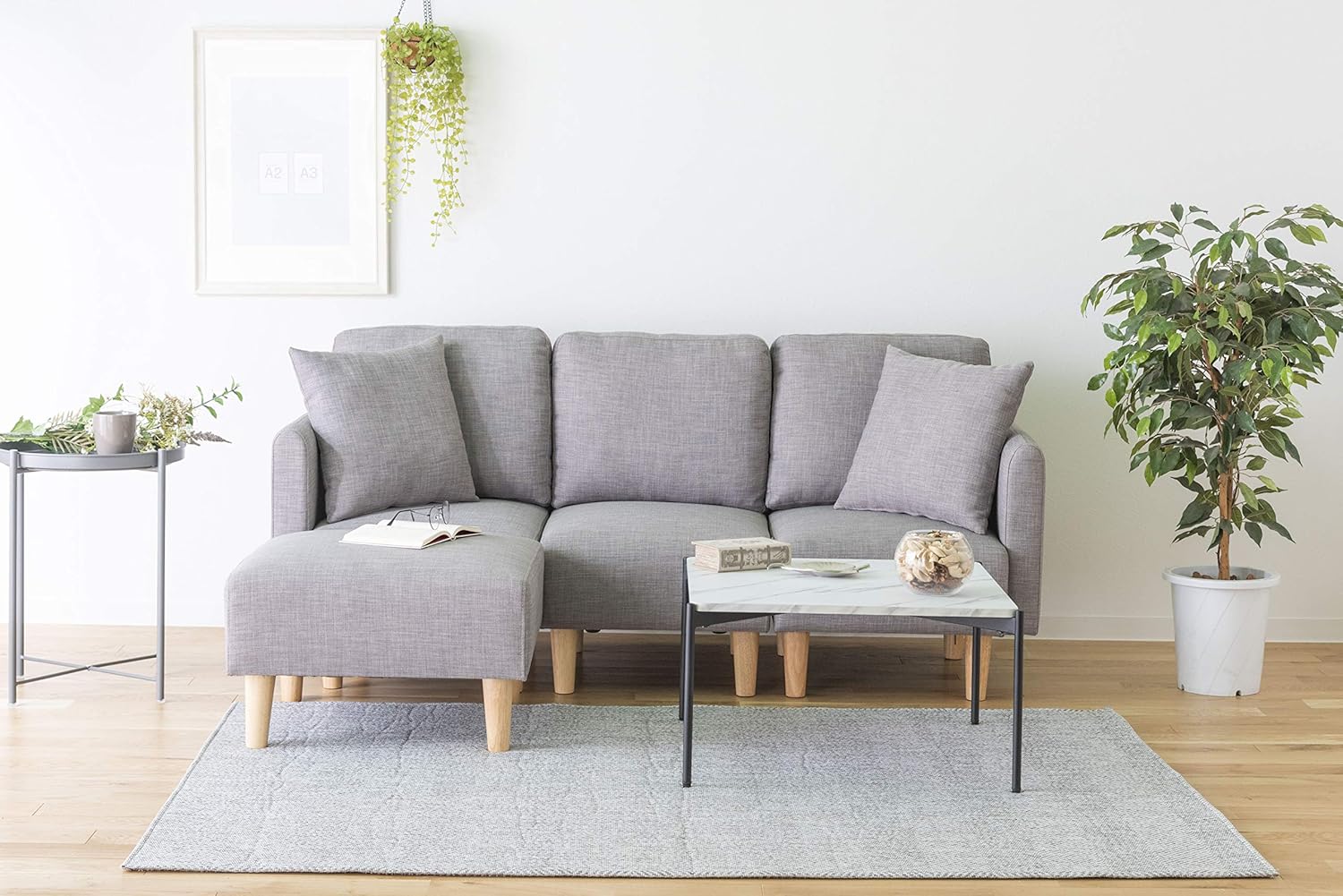 21年最新版 リビングにおすすめの観葉植物ランキング15選 インテリアにおすすめ セレクト Gooランキング