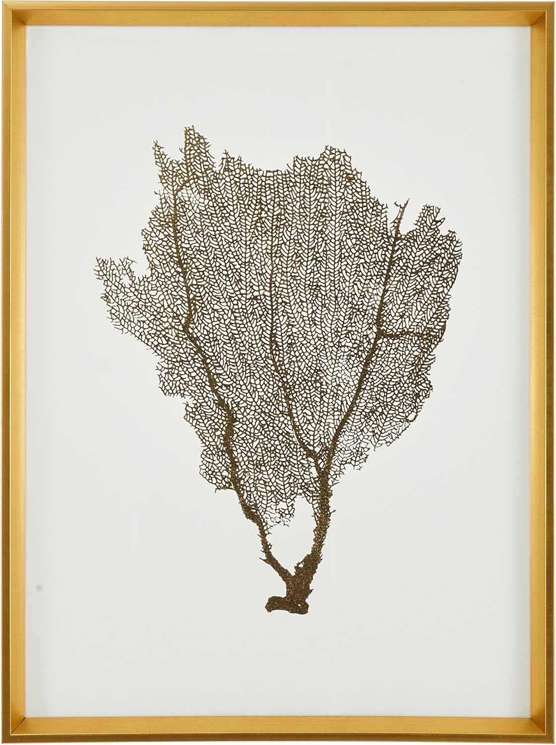 Amazon Brand – Stone & Beam Modern Gold Foil Sea Fan Print I Framed Wall Art Decor - 24 x 30 Inch Frame, Gold