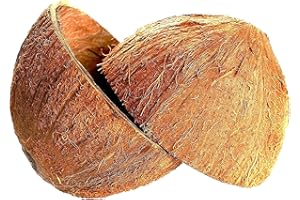 Lakpura® Coconut Shell Halves (2 pcs)