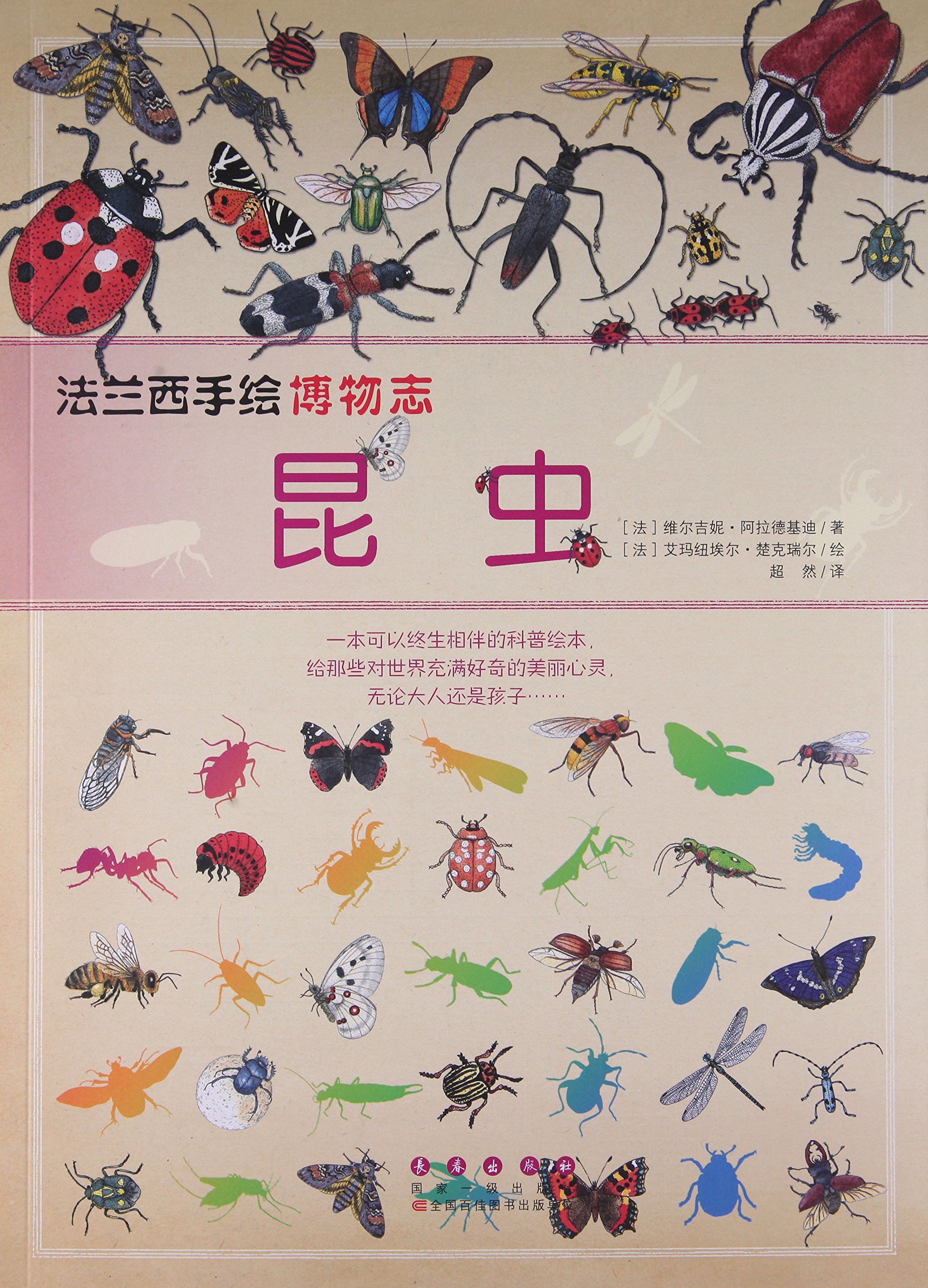 法兰西手绘博物志昆虫 法 维尔吉妮 阿拉德基迪超然 法 艾玛纽埃尔 楚克瑞尔 Amazon Com Books