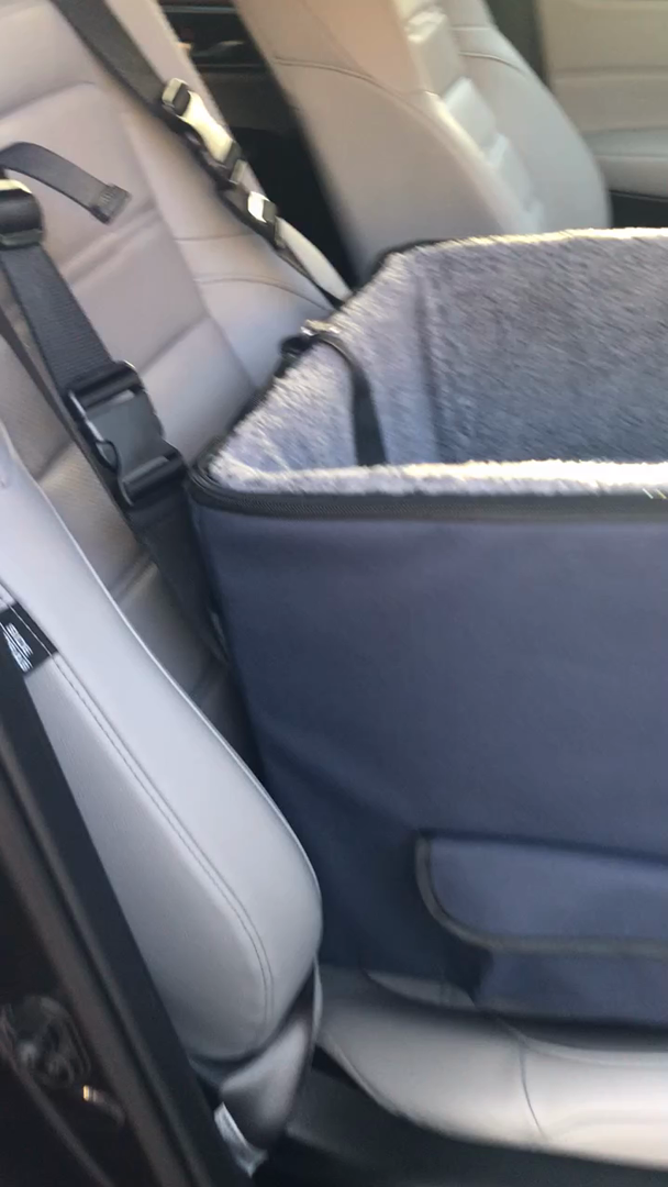 instecho A4Pet Lookout Dog Booster Car Seat/Pet Bed at