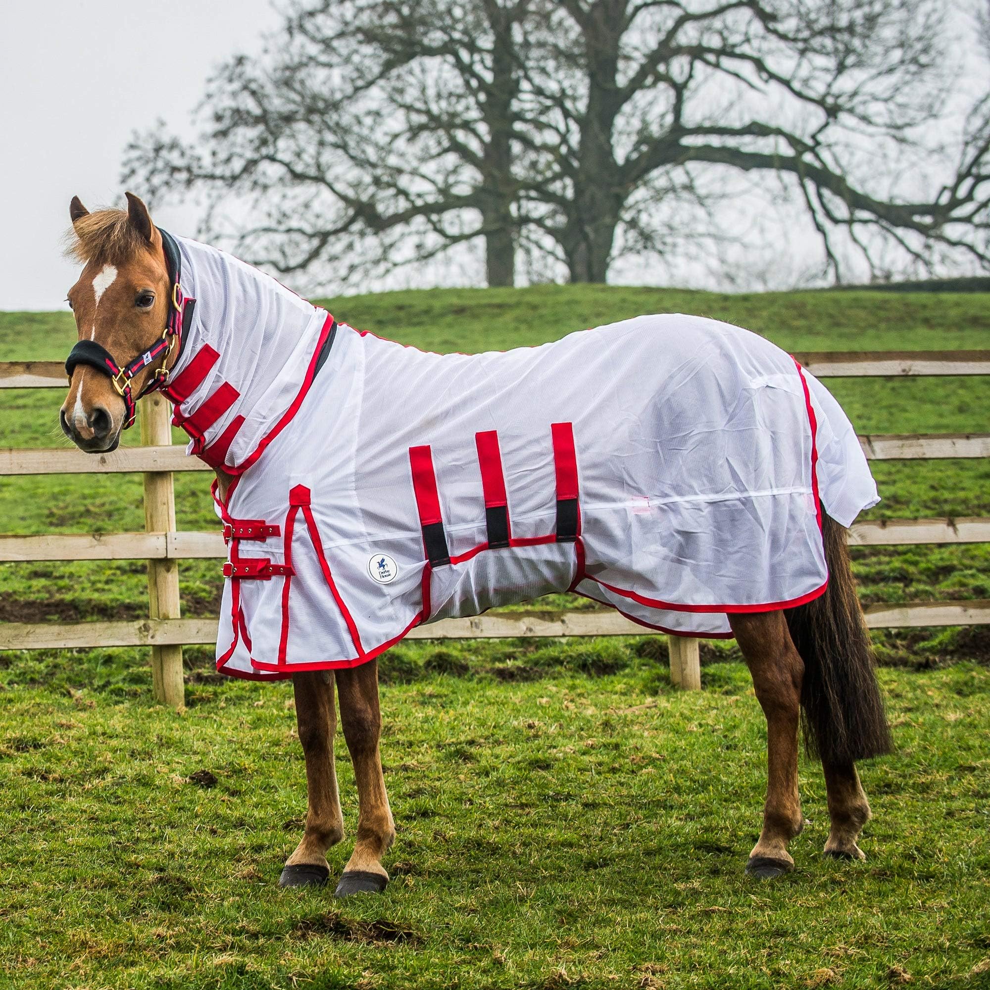 Derby House Classic Fly Rug