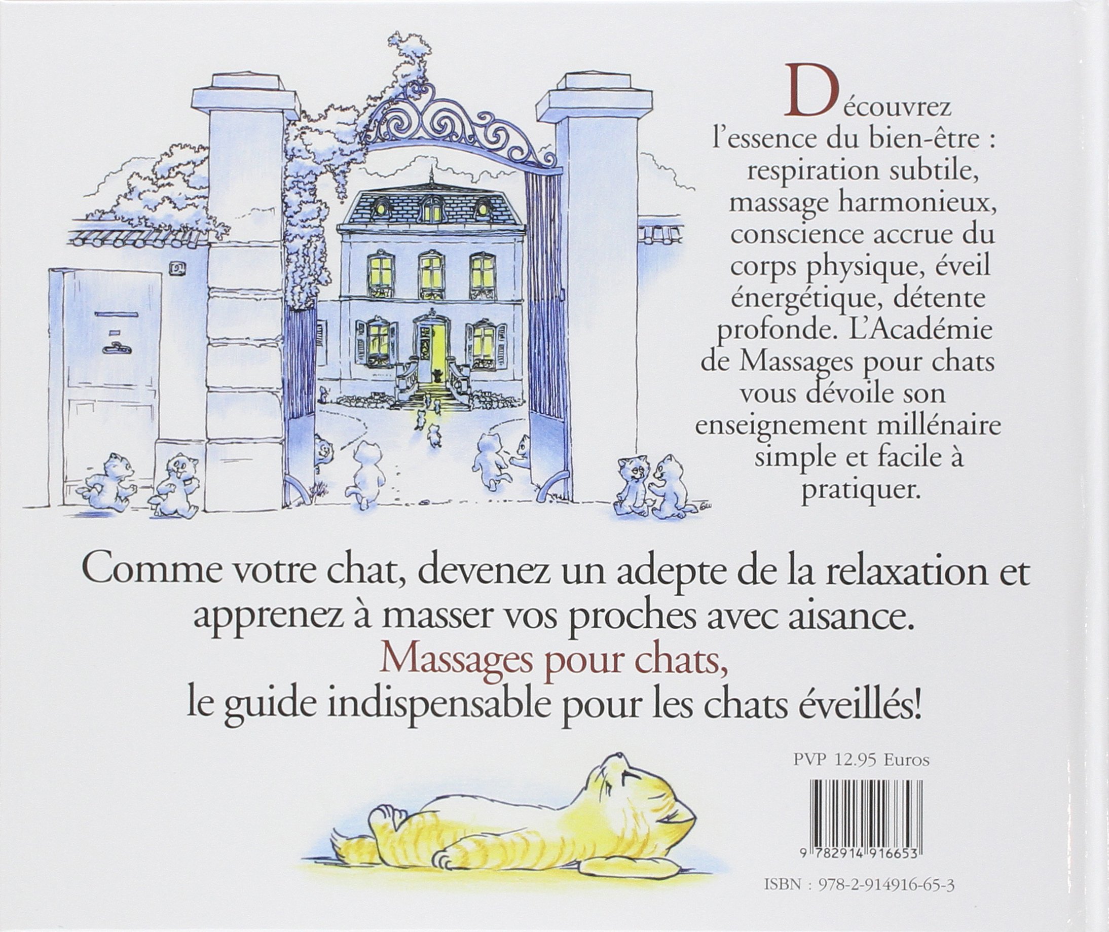 Massages Pour Chats Gaudin Claire Amazon Com Books