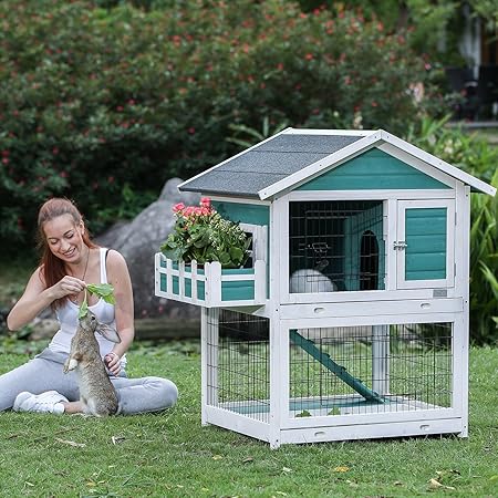 human years converted to dog years