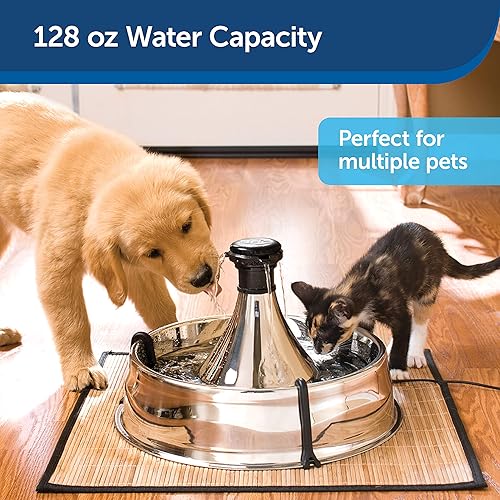 The 16 Best Dog Water Fountains of 2021