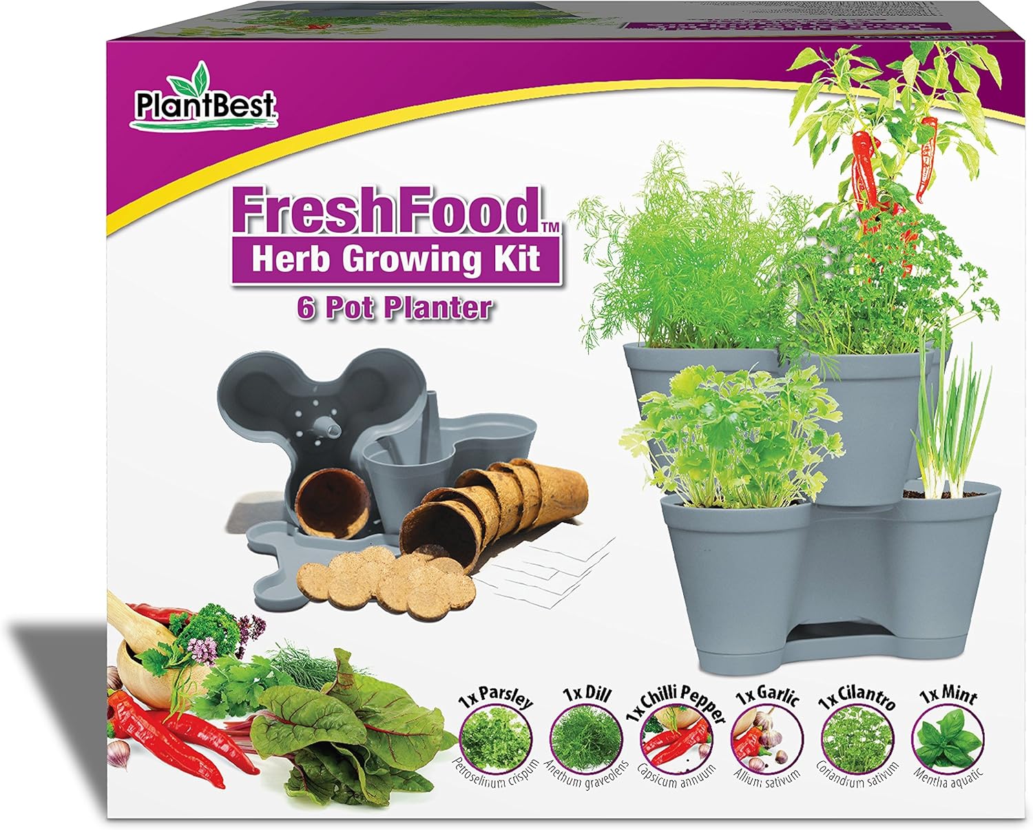 FreshFood Herb Growing Kit Kitchen & Dining