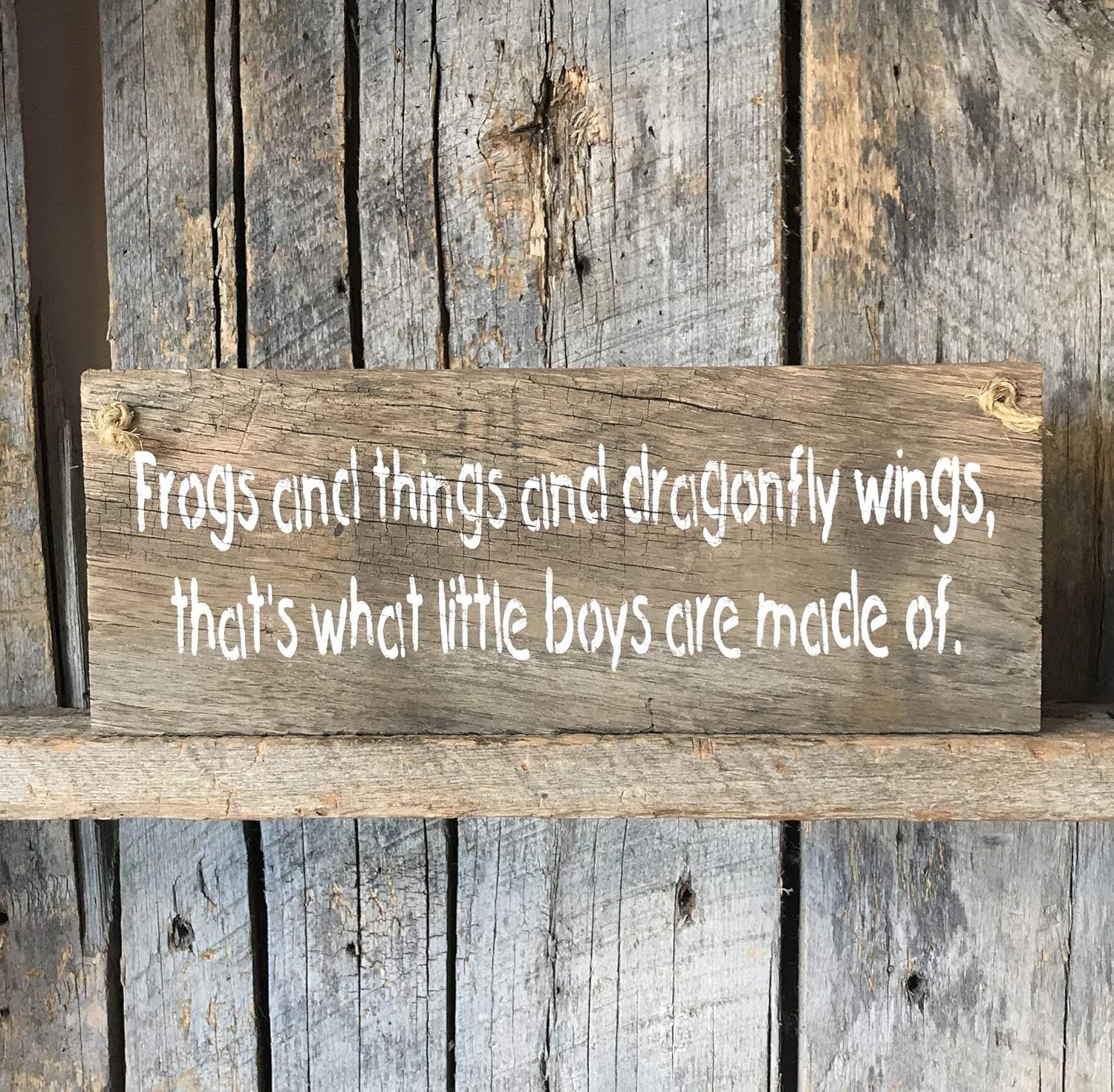 Amazon Com Frogs And Things And Dragonfly Wings That S What