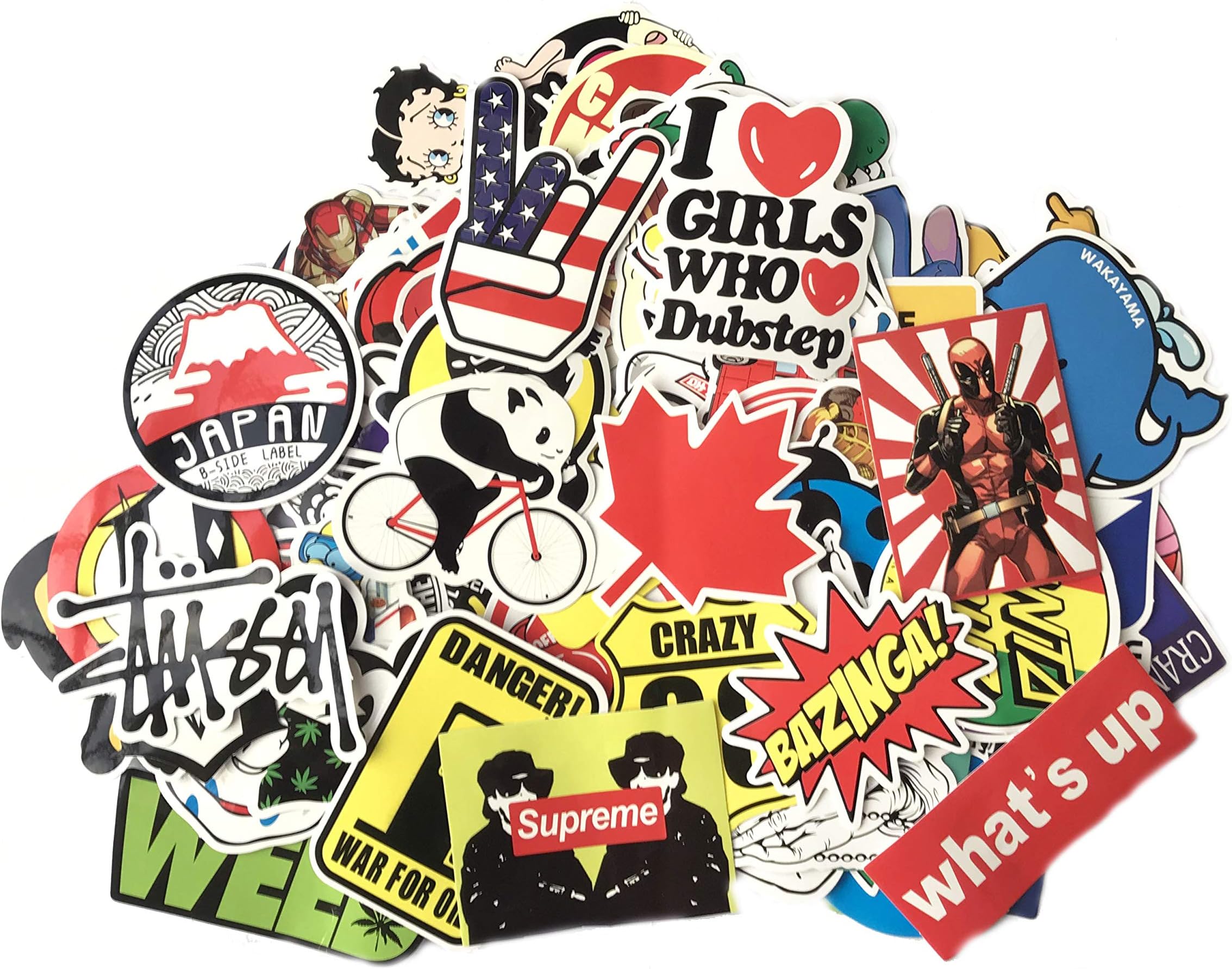 STICON 100 Pieces Vinyl Waterproof Stickers for Car, Laptop, Luggage, Skateboard, Motorcycle, Bicycle Decal Graffiti Patches (Series I)