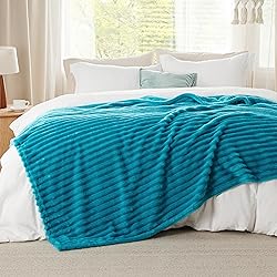 Bedsure Teal Full Blanket for Bed - GentleSoft Cozy