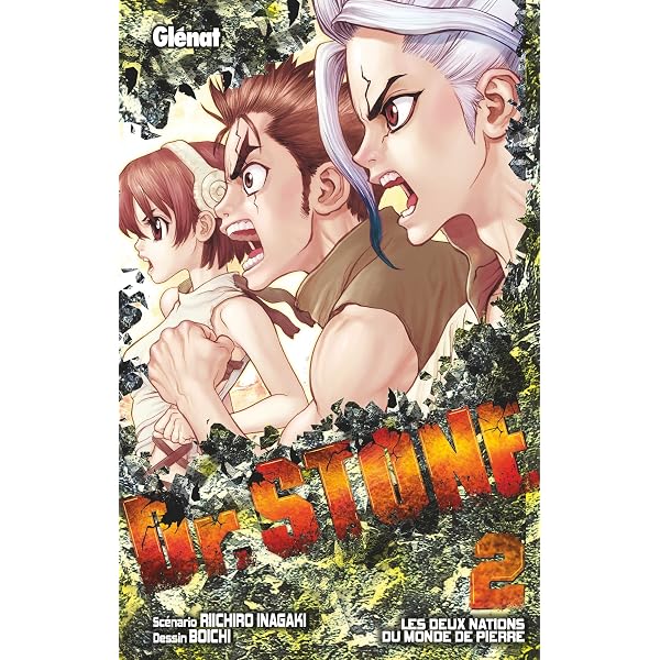 Amazon.com: Dr. Stone - Tome 01: Stone World: 9782344028032