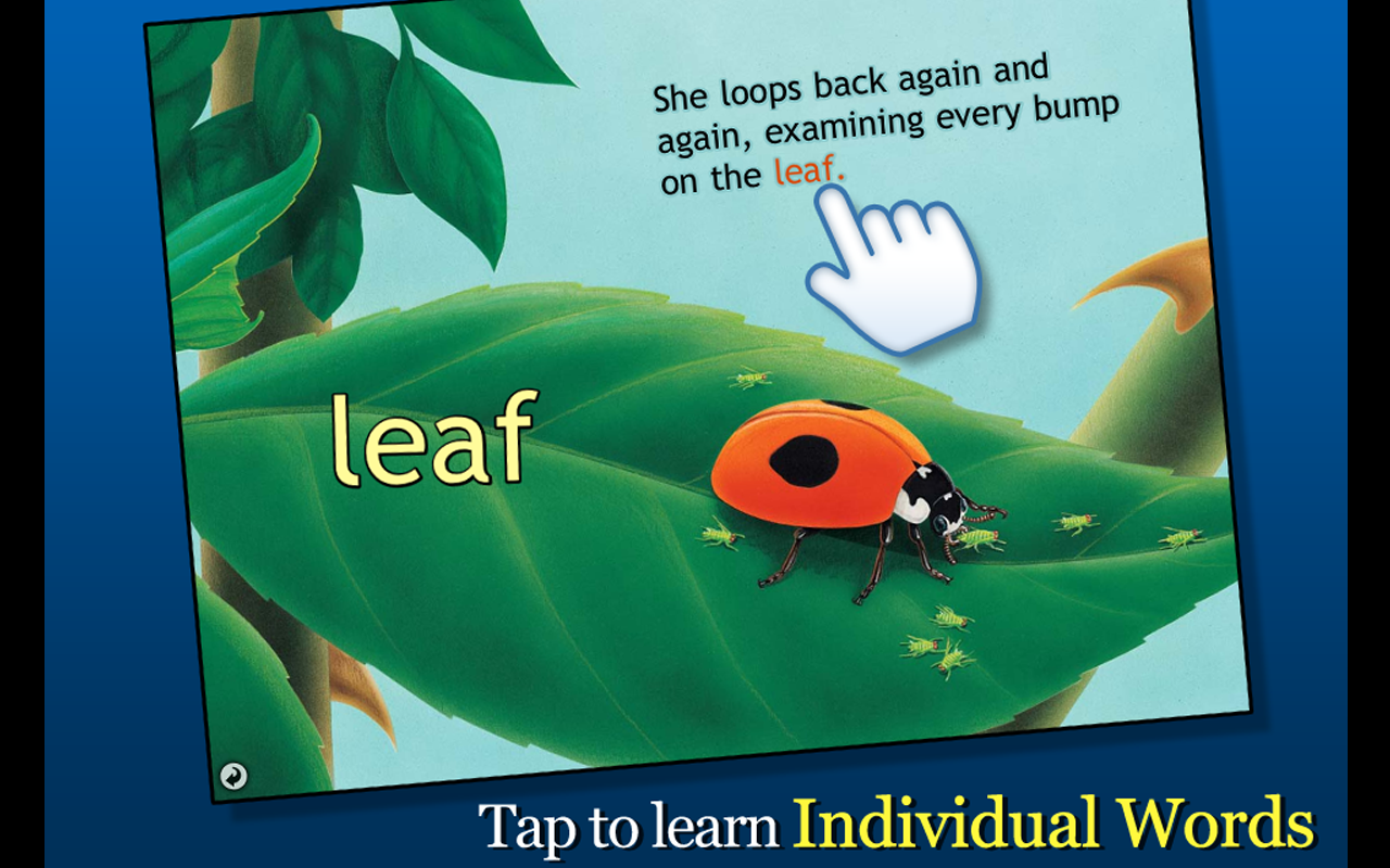 Ladybug at Orchard Avenue - Smithsonian’s Backyard - Thumbnail 4