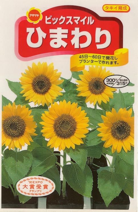 Amazon アタリヤ農園 ガーデニング用品 種 ひまわり ビッグスマイル 花