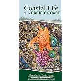 Coastal Life of the Pacific Coast: Discover Tidepools and Identify Beachcombing Finds and Iconic Wildlife (Adventure Quick Guides)
