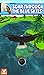 Virtual Pet Bald Eagle