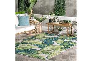 nuLOOM Lisa Floral Indoor/Outdoor Area Rug, 9x12, Multi