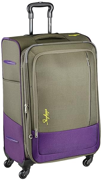 Skybags Footloose Romeo Polyester 58 cms Grey Softsided Carry-On (STROW58EGRY)