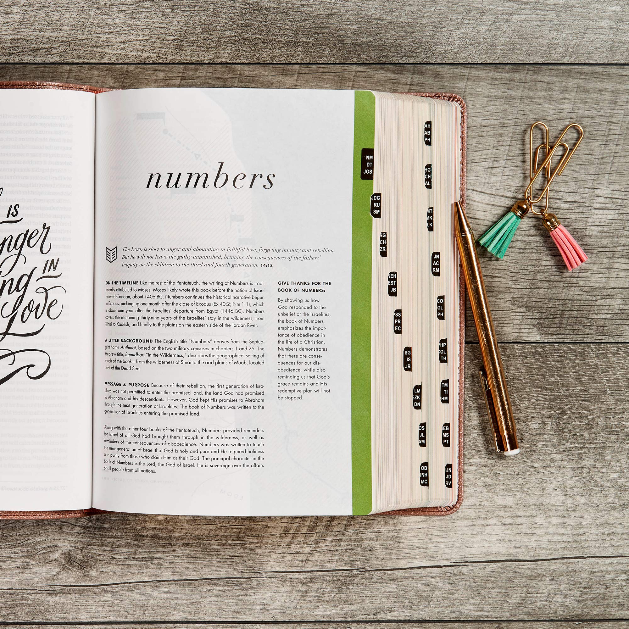 CSB She Reads Truth Bible, Rose Gold LeatherTouch, Indexed, Black Letter, Full-Color Design, Wide Margins, Journaling Space, Devotionals, Reading Plans, Single-Column, Easy-to-Read Bible Serif Type CSB She Reads Truth Bible, Rose Gold LeatherTouch, Indexed, Black Letter, Full-Color Design, Wide Margins, Journaling Space, Devotionals, Reading Plans, Single-Column, Easy-to-Read Bible Serif Type Imit