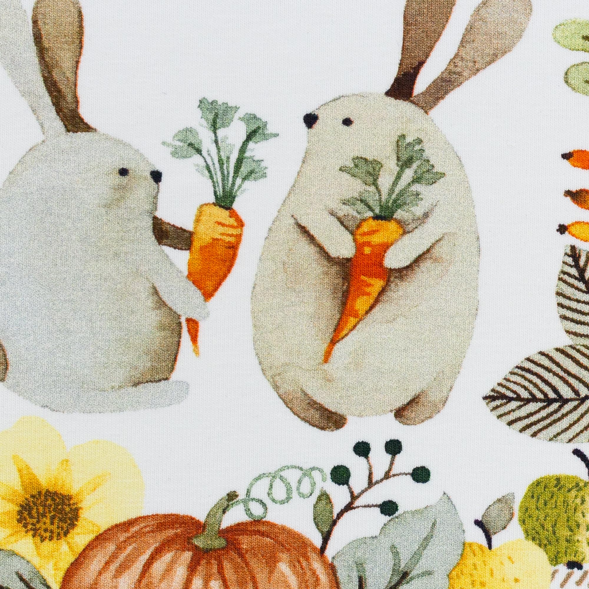 Jersey Fabric with Rabbits, Leaves & Pumpkin Swafing Autumn Motif Children's Fabric Oeko-Tex 0.5 m x 1.55 m Sold by the Metre