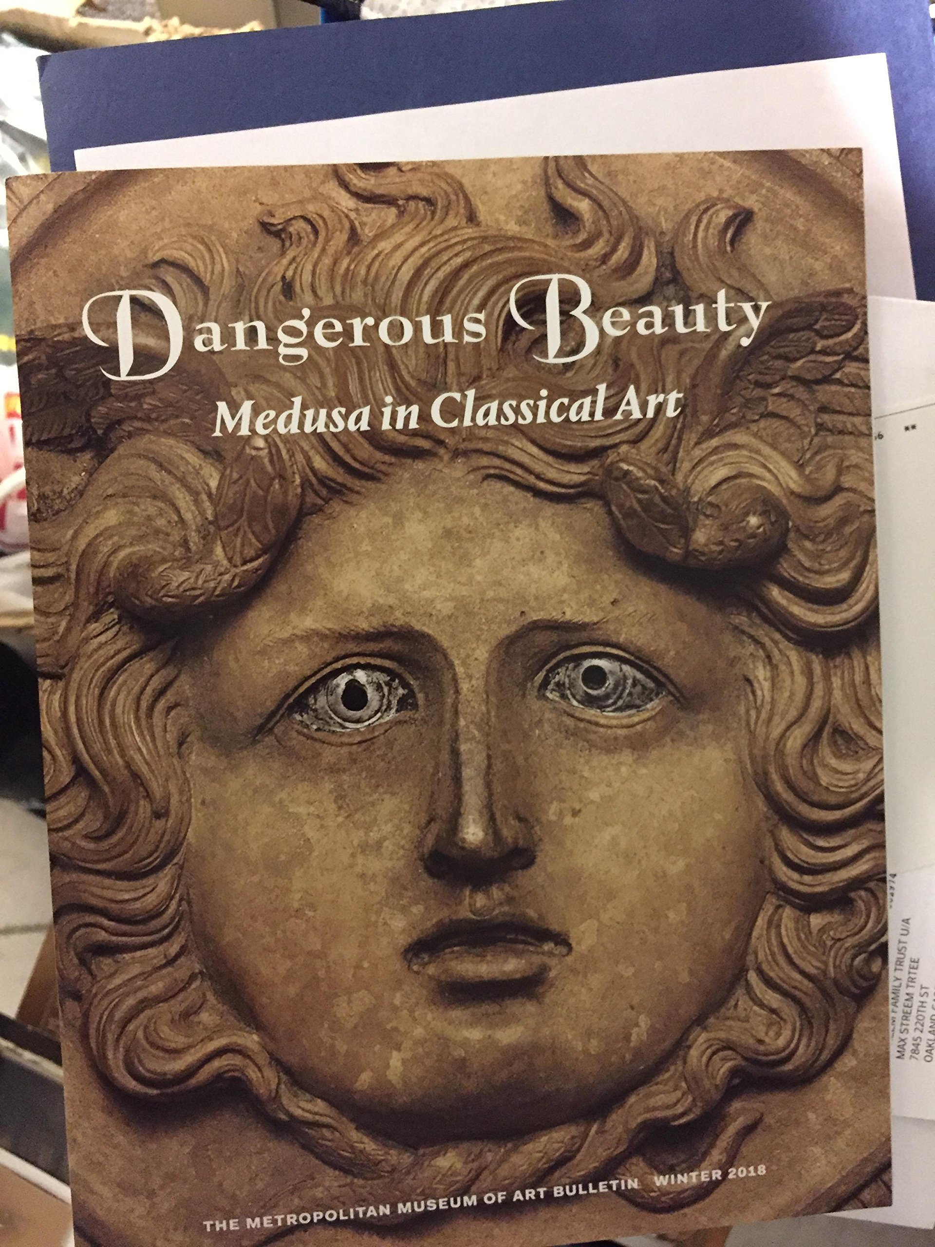 Dangerous Beauty Medusa In Classical Art Kiki Karoglou 9781588396426 Amazon Com Books