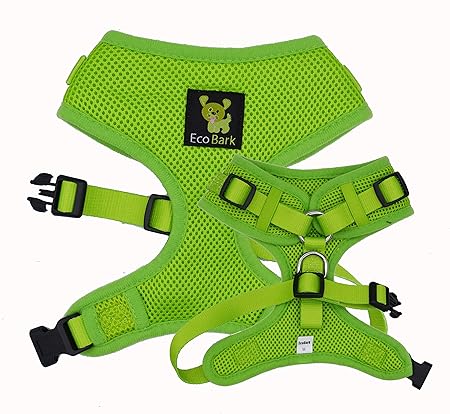 bloodhound and lab mix